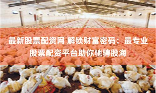 最新股票配资网 解锁财富密码：最专业股票配资平台助你驰骋股海